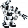 Wowwee Robosapien
